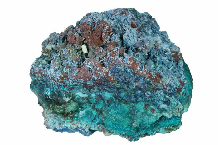 Shattuckite, Chrysocolla and Ajoite Association - Mexico #155860